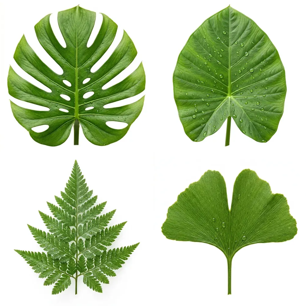 Realistic Leaves Any Trees