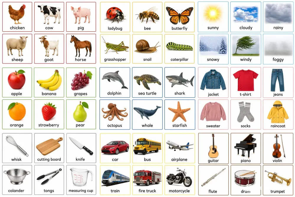 Montessori Picture Word Cards