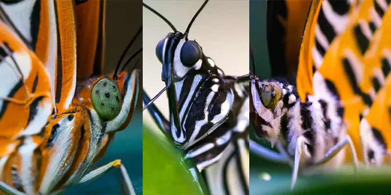 Butterflies Close Up generated by undefined