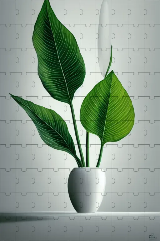 Aesthetic Plants