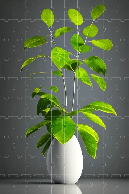 Aesthetic Plants
