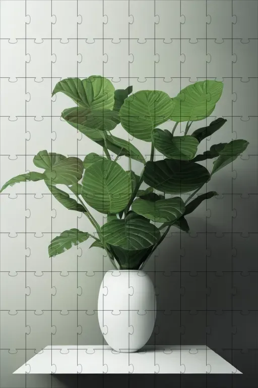 Aesthetic Plants