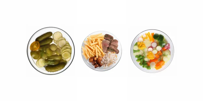 Various Dishes generated by undefined