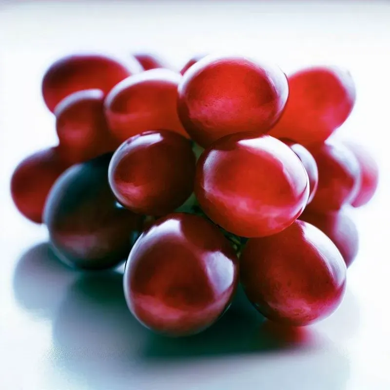 Foods On Pristine White Backgrounds