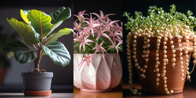Little Plants And Flowers In Pots generated by undefined
