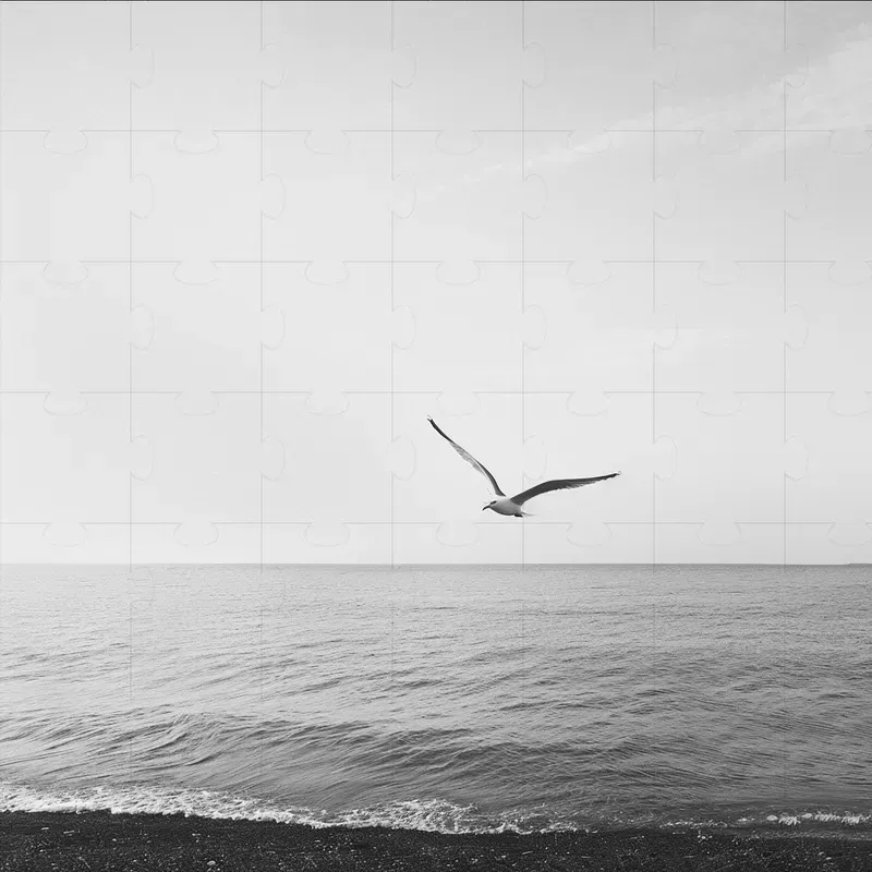 Stunning Black And White Poster Prints