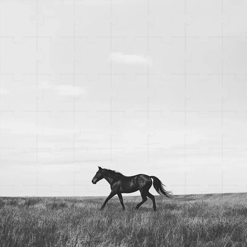 Stunning Black And White Poster Prints