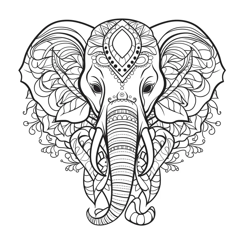 Animals For Your Coloring Books