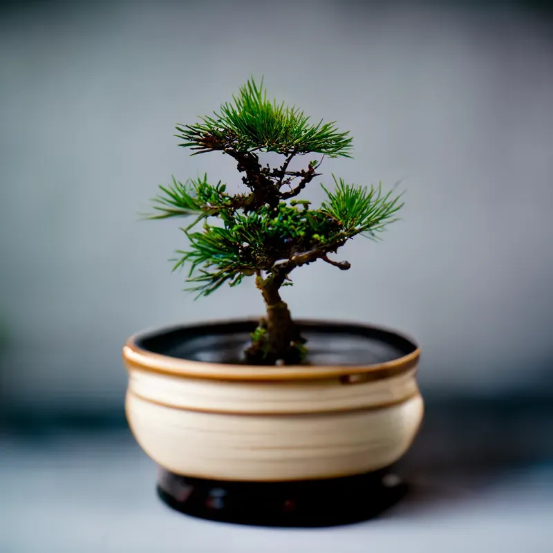 Cute Potted Plants