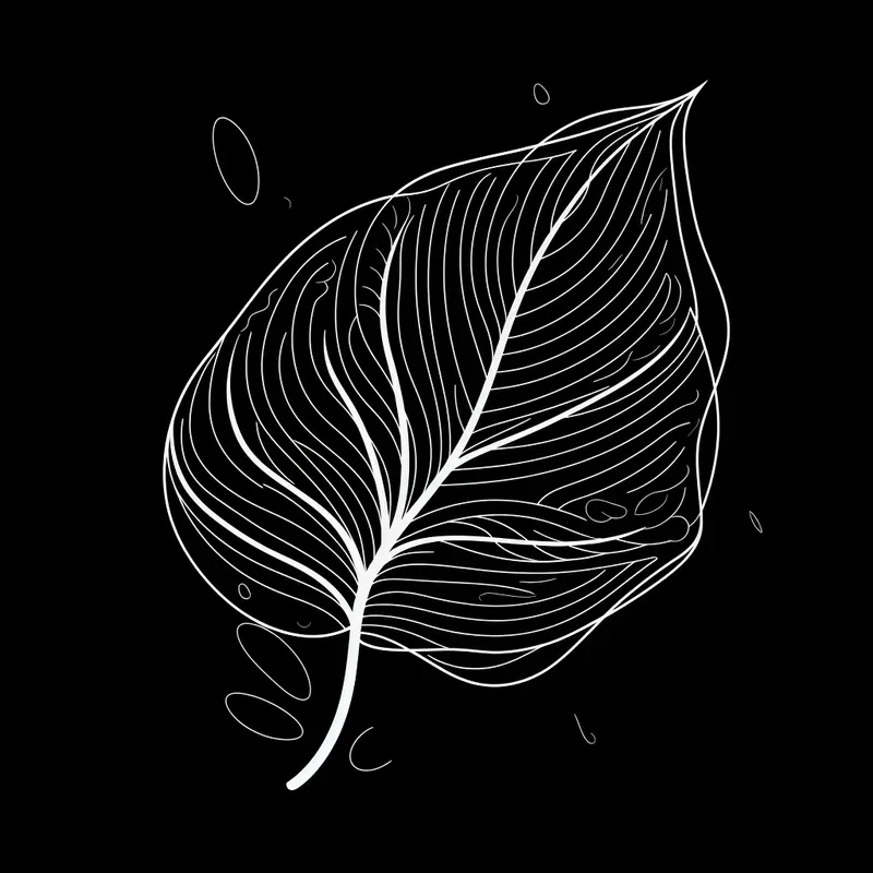 Customizable Continuous Line Art Doodles