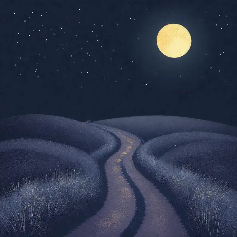 Mystical Views Of The Moon