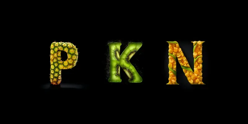 Fruits Letters Of The Alphabet generated by undefined