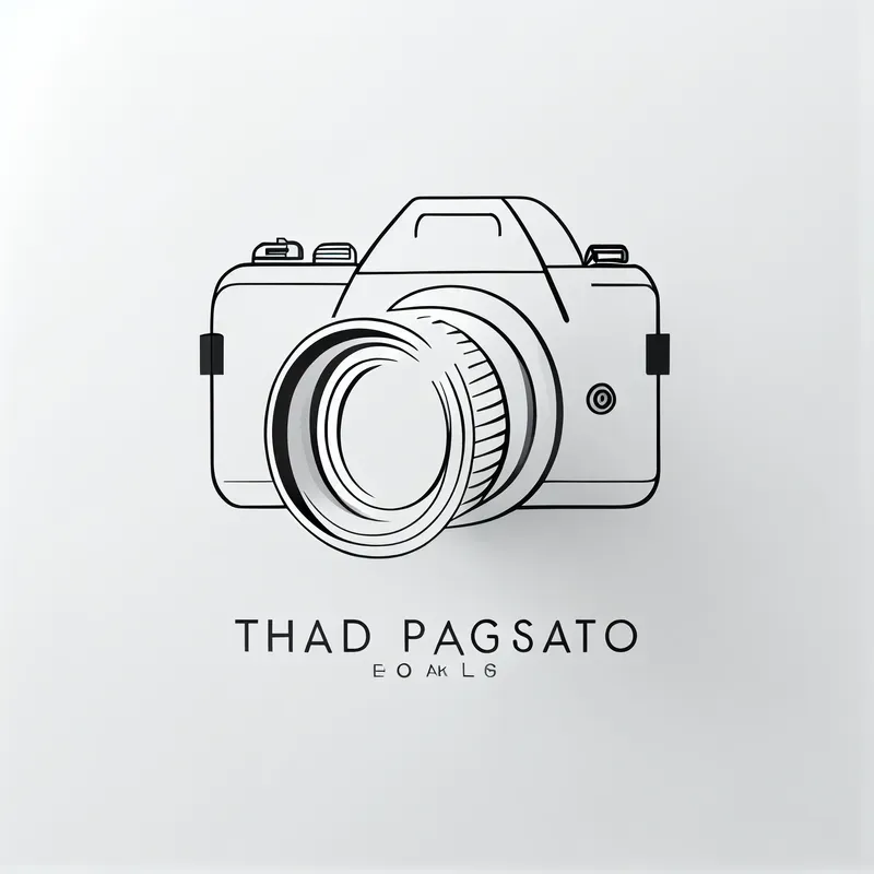 Simple And Professional Logo Designs