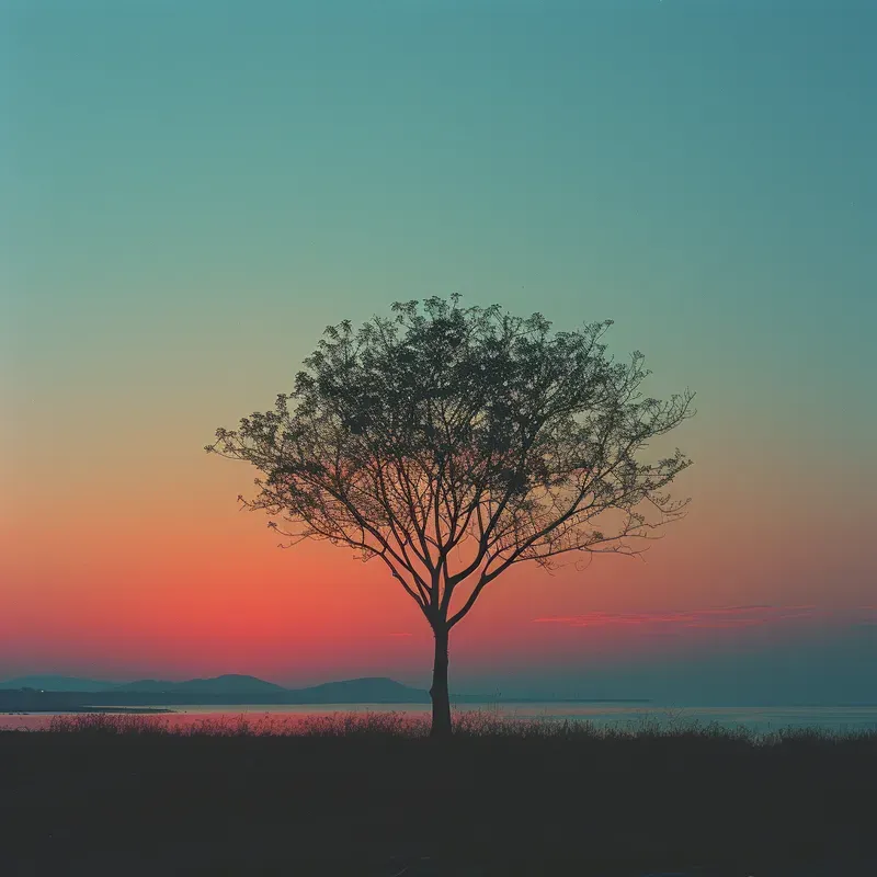 Minimalist Photo
