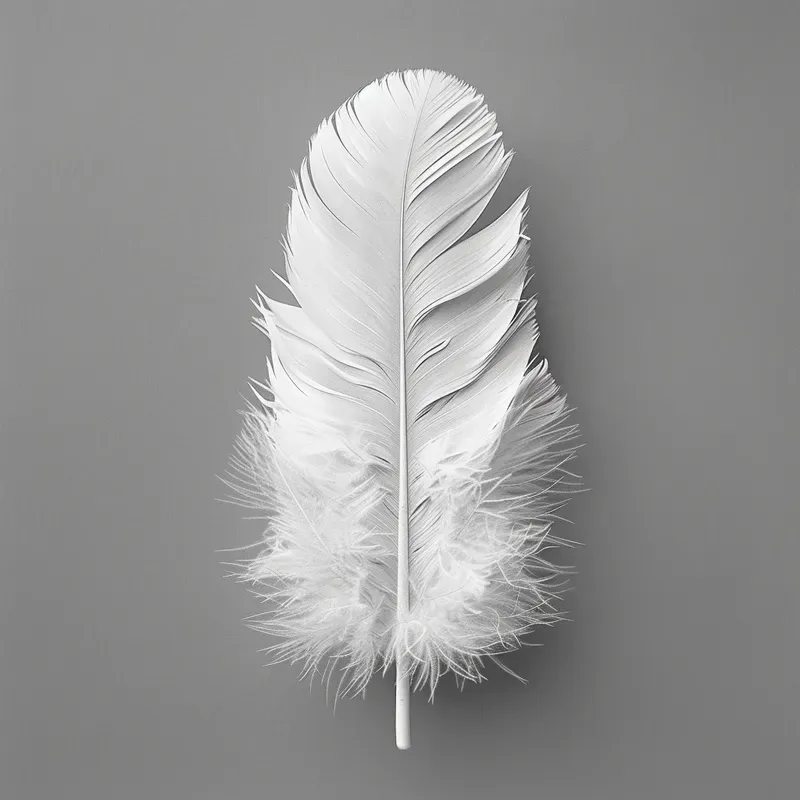 Minimalist Photo