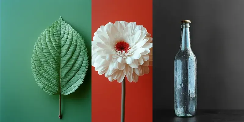 Minimalist Photo generated by undefined