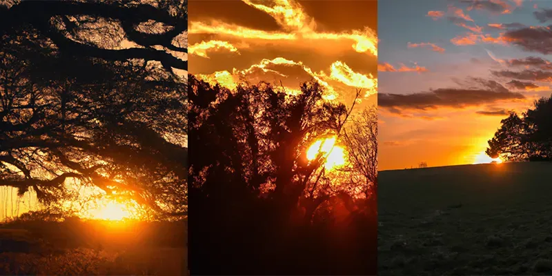 Nature Sunsets generated by undefined