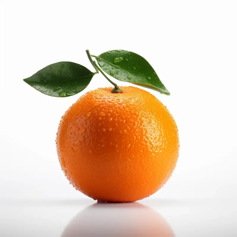 Different Objects In Realistics