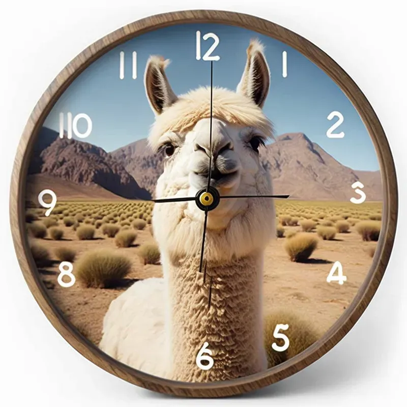 Funny Face Clocks