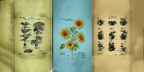Old Vintage Looking Botanic Posters generated by promptbase