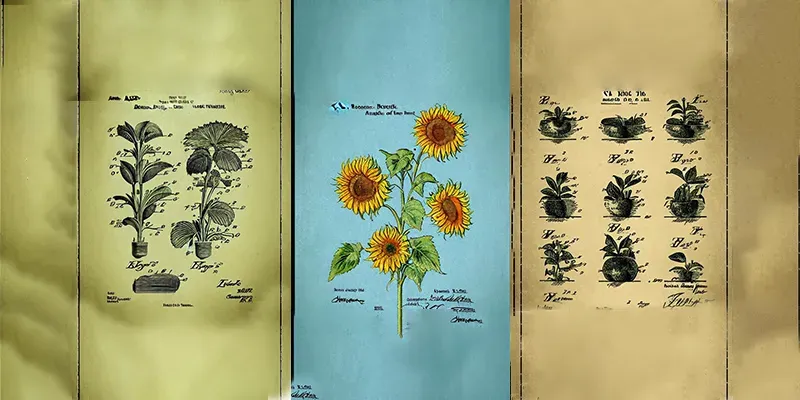 Old Vintage Looking Botanic Posters generated by undefined