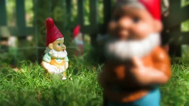 Depth Of Field Photograph