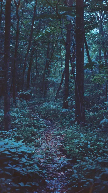 Vintage 90s Dark Aesthetic Photos