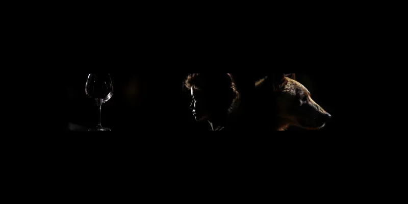 Rim Light Photographs generated by undefined