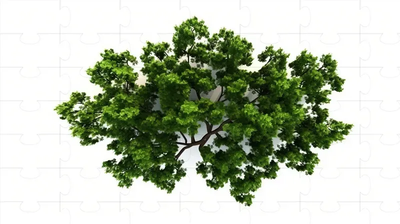 Cutout Top View Trees