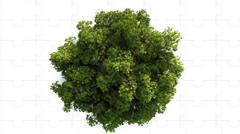 Cutout Top View Trees