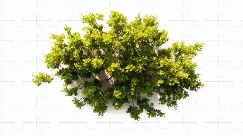 Cutout Top View Trees