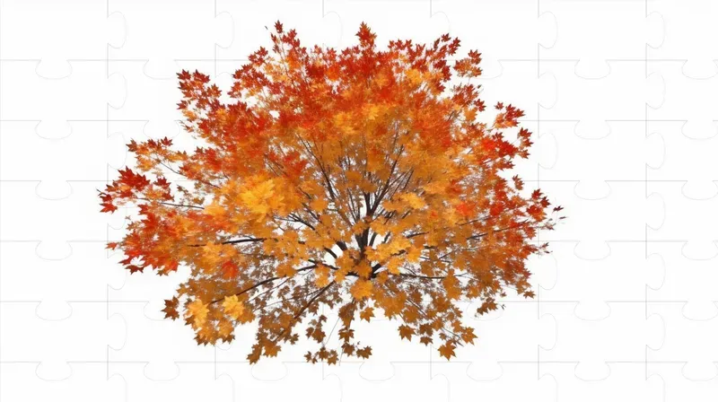 Cutout Top View Trees
