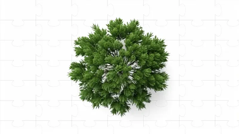 Cutout Top View Trees