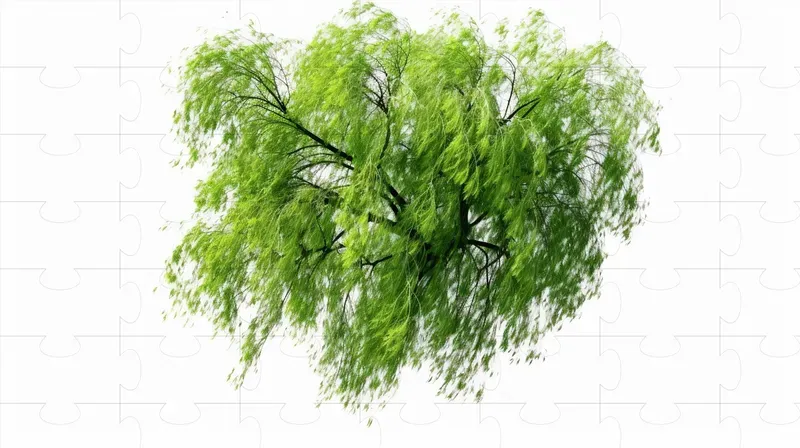 Cutout Top View Trees