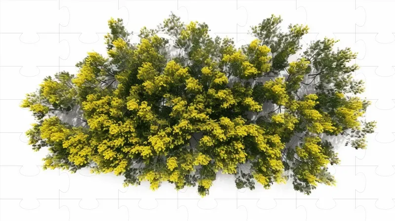 Cutout Top View Trees