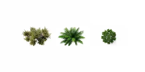 Cutout Top View Trees generated by midjourney