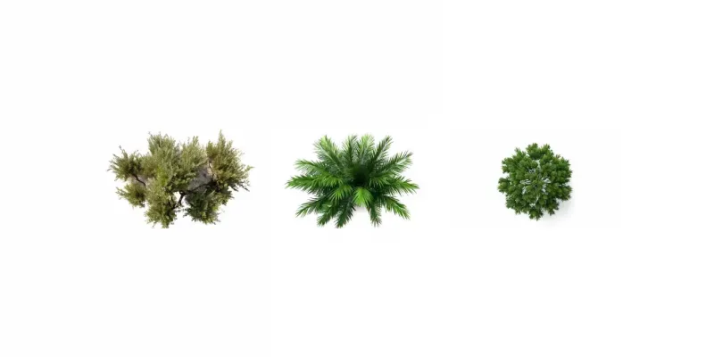 Cutout Top View Trees generated by undefined