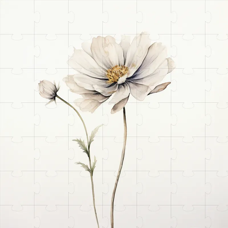 Watercolor Paintings