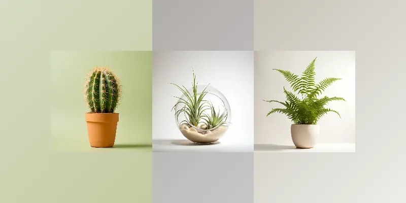 Plant Photographs generated by undefined