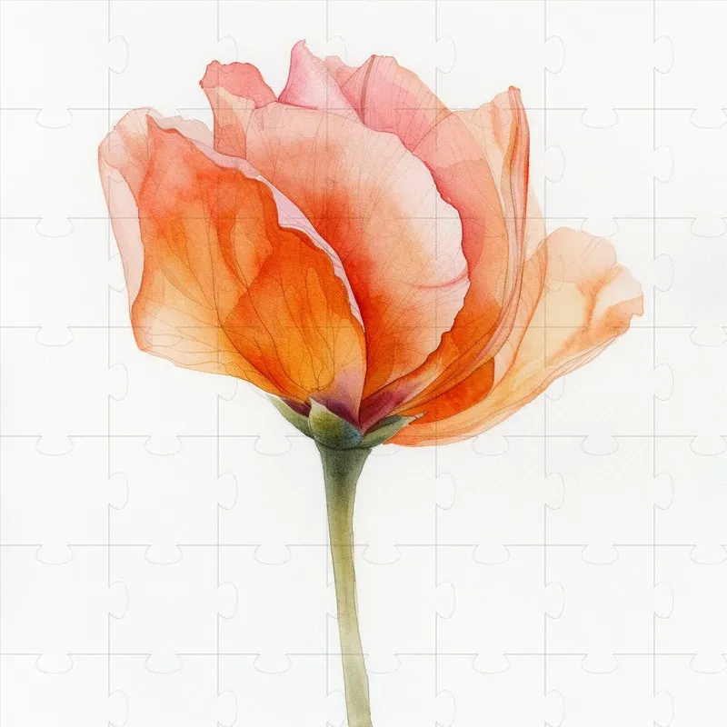 Watercolor Paintings