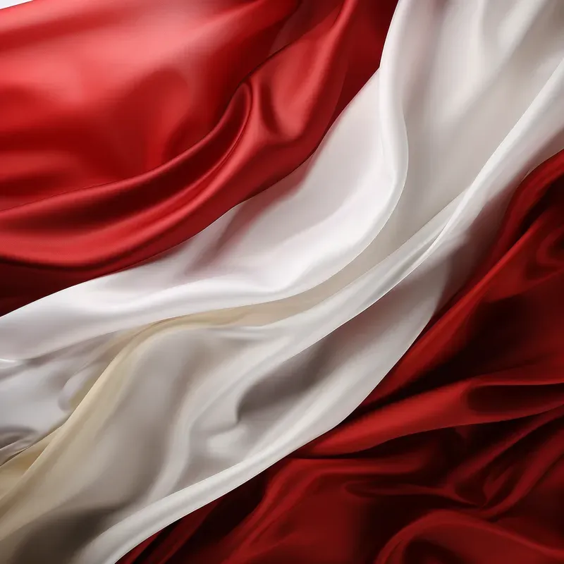 Realistic Waving Flag  Countries Flags