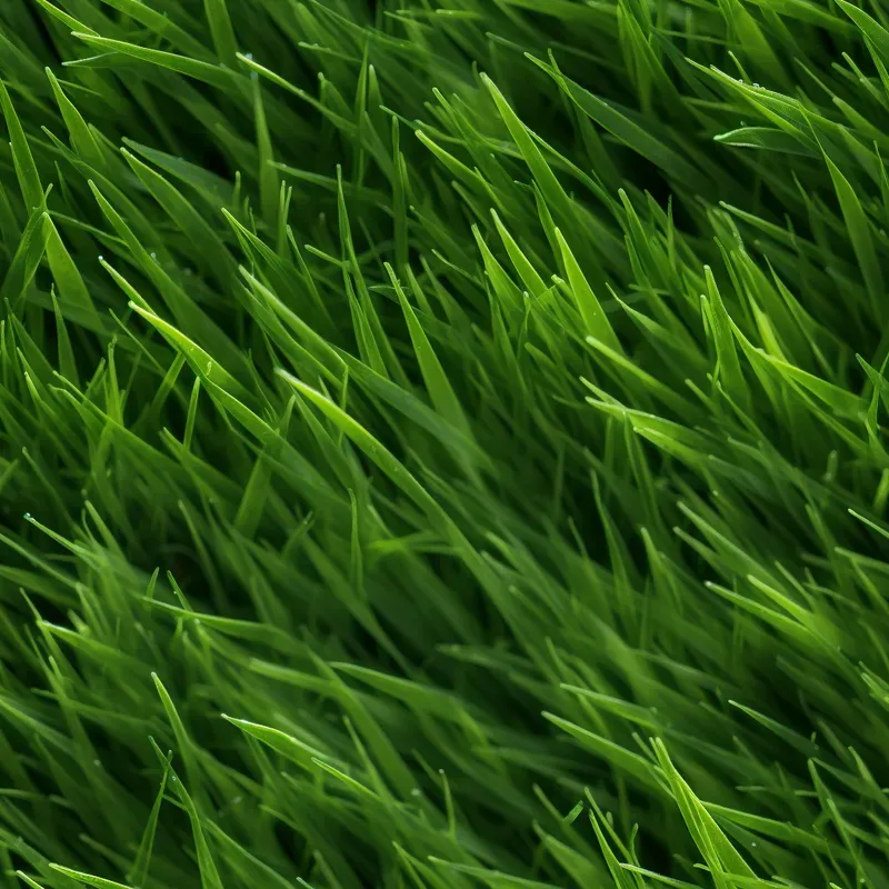 Realistic Seamless Texture HD