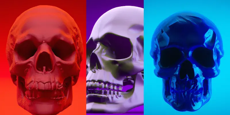 Colorful 3D Skulls generated by undefined