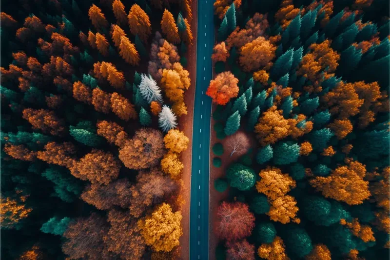 Drone Aerial Photos Of Beautiful Landscapes