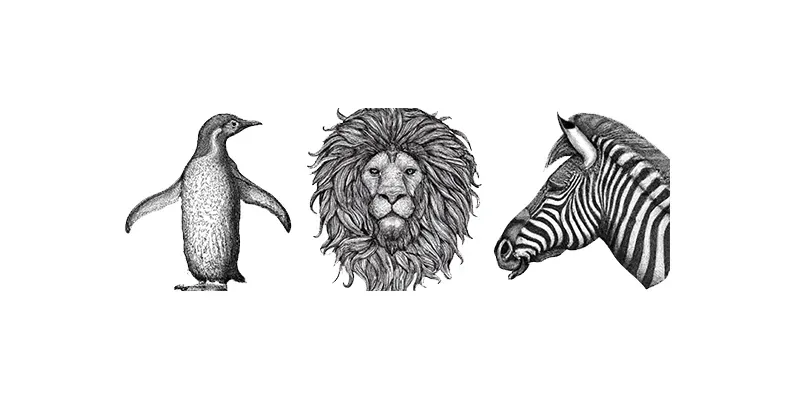 Oreilly Animal Style generated by undefined