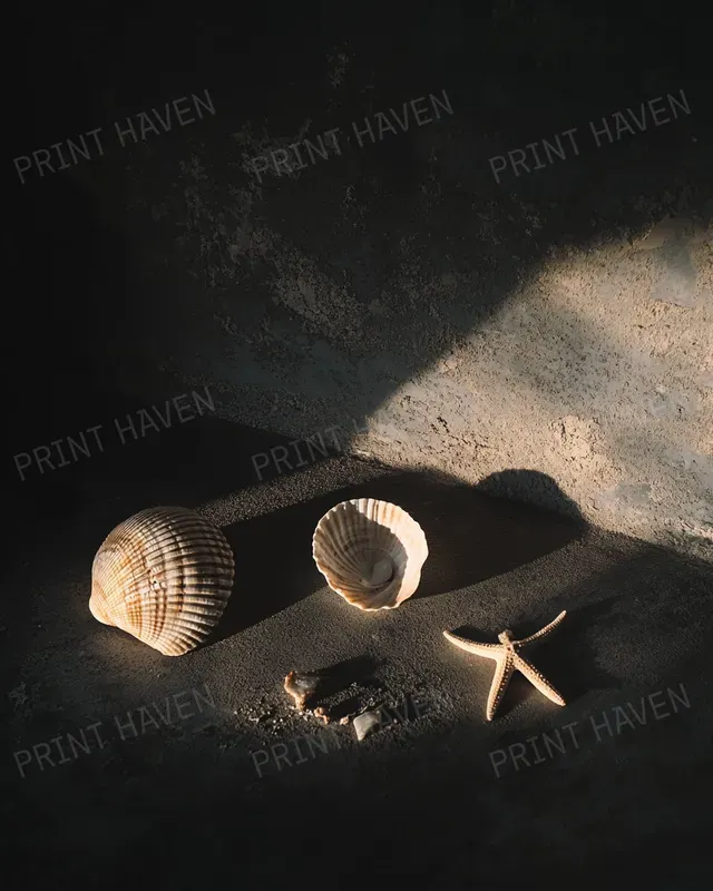 Echoes Of The Past Still Life Photos