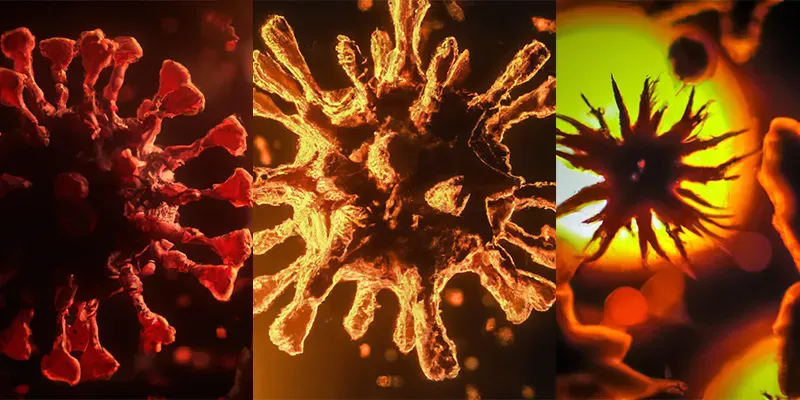 Virus Renders generated by undefined