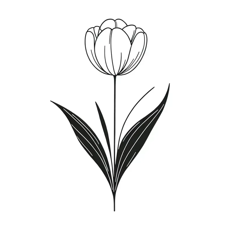 Elegant Simplicities