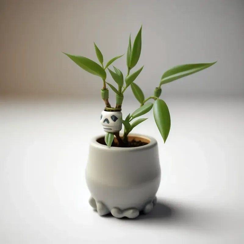 Mini Plants