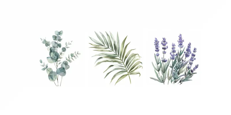 Watercolor Plant Illustrations Wallart generated by undefined